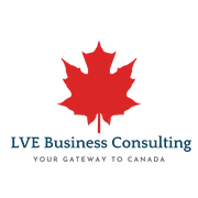 LVE Business Consulting